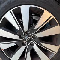 Pleonastico più cerchi in lega