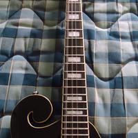 Mandolino Ottava Eastwood 