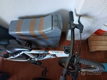 Bici raggio 20