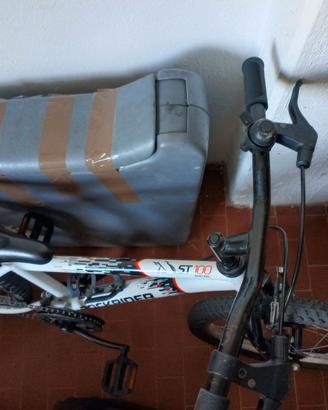 Bici raggio 20
