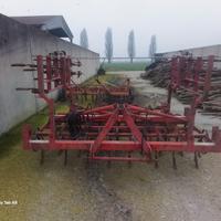 Maschio