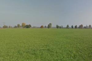 Terreno di 120000 m² a Pandino