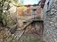 Immagine 9