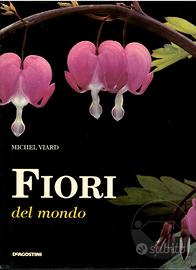 I fiori del mondo