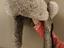 Immagine 1