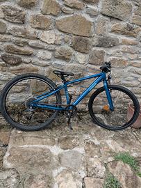 bici riverside 900