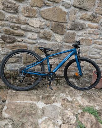 bici riverside 900