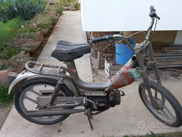 Peripoli Colorado Nevada