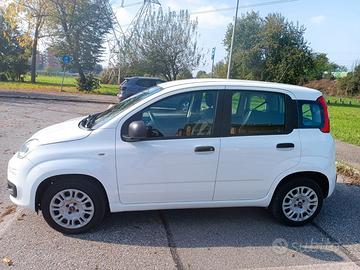 FIAT Panda 3ª serie - 2020