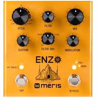 MERIS Enzo Multi-Voice Synthesizer
