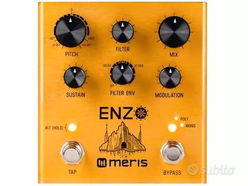 MERIS Enzo Multi-Voice Synthesizer