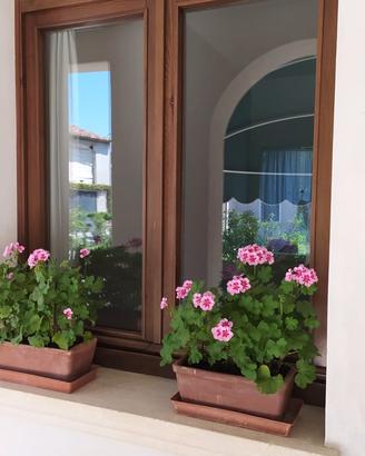 Finestra in legno + doppio vetro camera