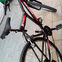 Bicicletta Hogan usata