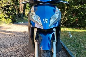 Peugeot Geopolis 250 - 2007