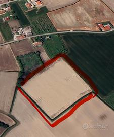 Terreno agricolo coltivabile