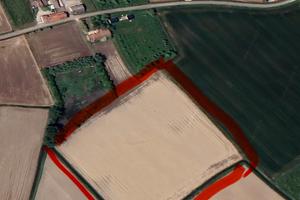 Terreno agricolo coltivabile