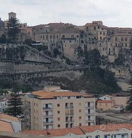 appartamento e terreno 