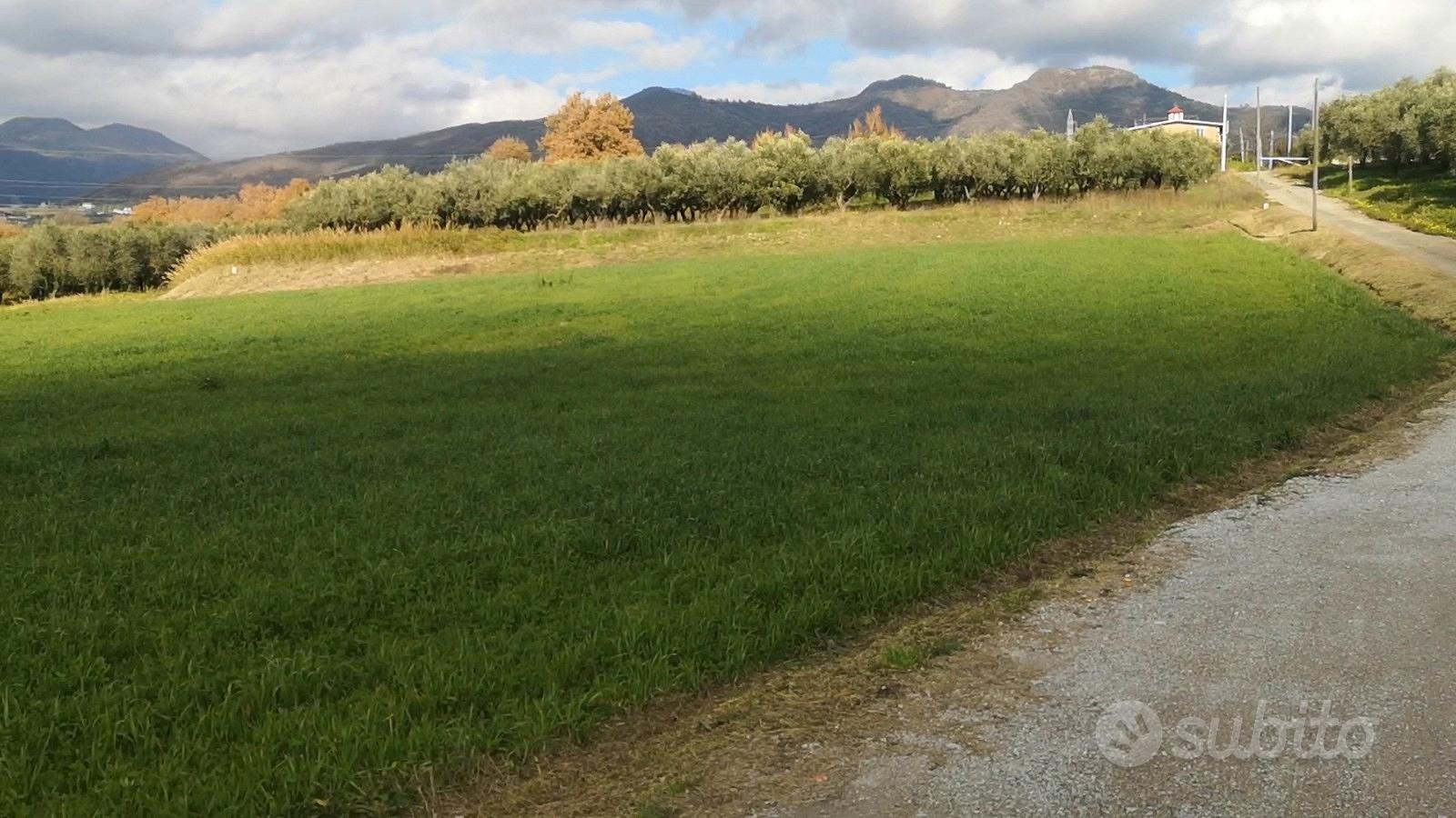 Terreno agricolo ad Olevano sul Tusciano - Vista 2