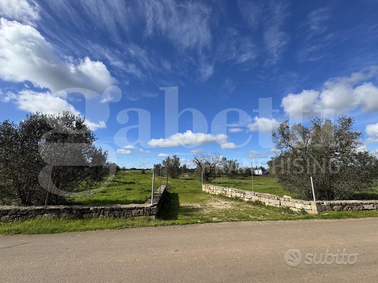 Terreno Agricolo Galatina [Cod. rif 3294156VCG] - Vista 5