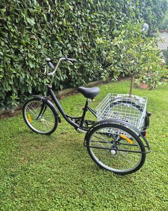 Triciclo per adulti, 6 marce
