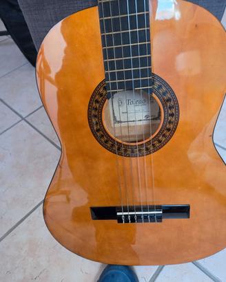 Chitarra acustica