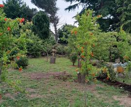 Terreno agricolo recintato in muratura con acqua