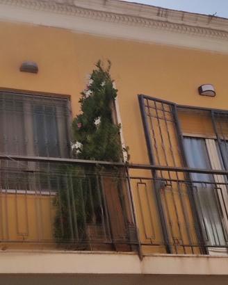 Appartamento appena ristrutturato e arredato