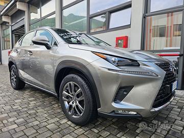 Lexus NX Hybrid 4WD Premium