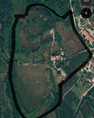 Fattoria per cavalli