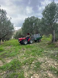 Terreno con ulivi e fabbricato