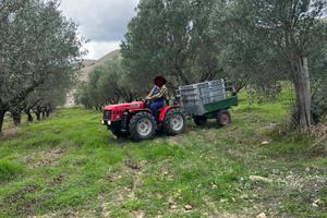 Terreno con ulivi e fabbricato