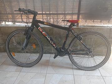 MTB demon