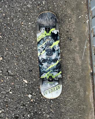 skateboard e monopattino
