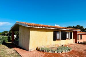 Bifamiliare, Rena Majore