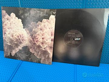 Primo Lotto di 10 Vinili minimal tech house