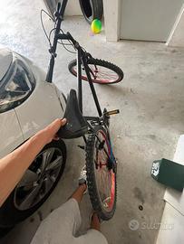 bicicletta