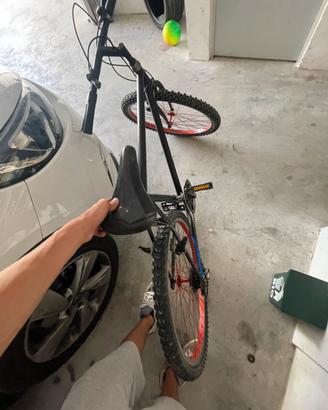 bicicletta