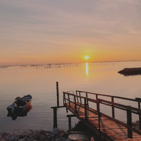Laguna Scardovari