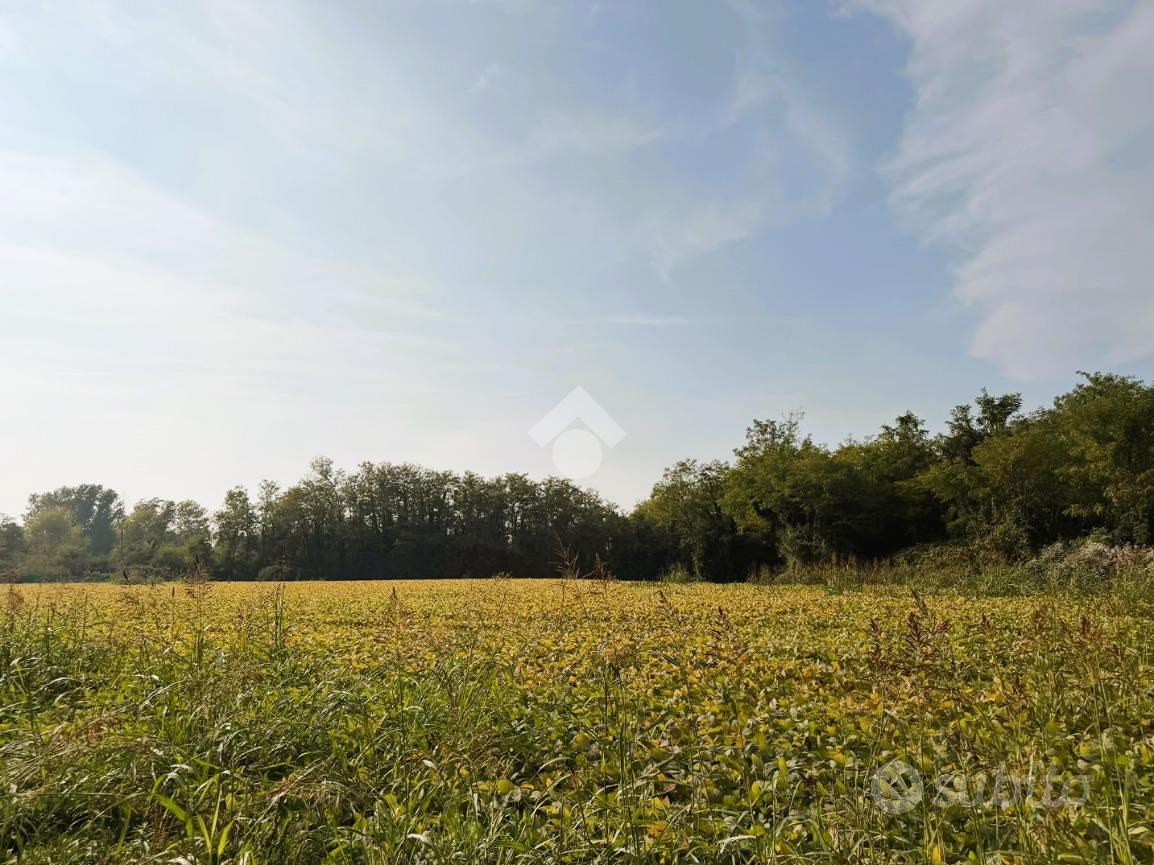 TER. AGRICOLO A BERNAREGGIO - Vista 3