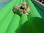 Immagine 9