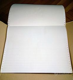 Carta traforata per stampa a trattore