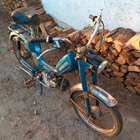 Motorino Leprotto Negrini 