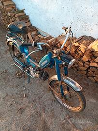 Motorino Leprotto Negrini 