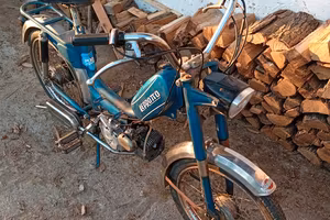 Motorino Leprotto Negrini 