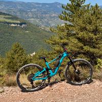 Specialized Enduro Carbon Tg S3