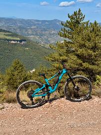 Specialized Enduro Carbon Tg S3