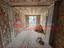 Immagine 7