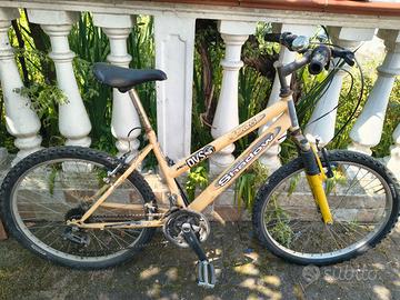 Bicicletta