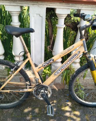 Bicicletta