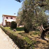 Marina di San Nicola/ Bambin Gesu' Palidoro